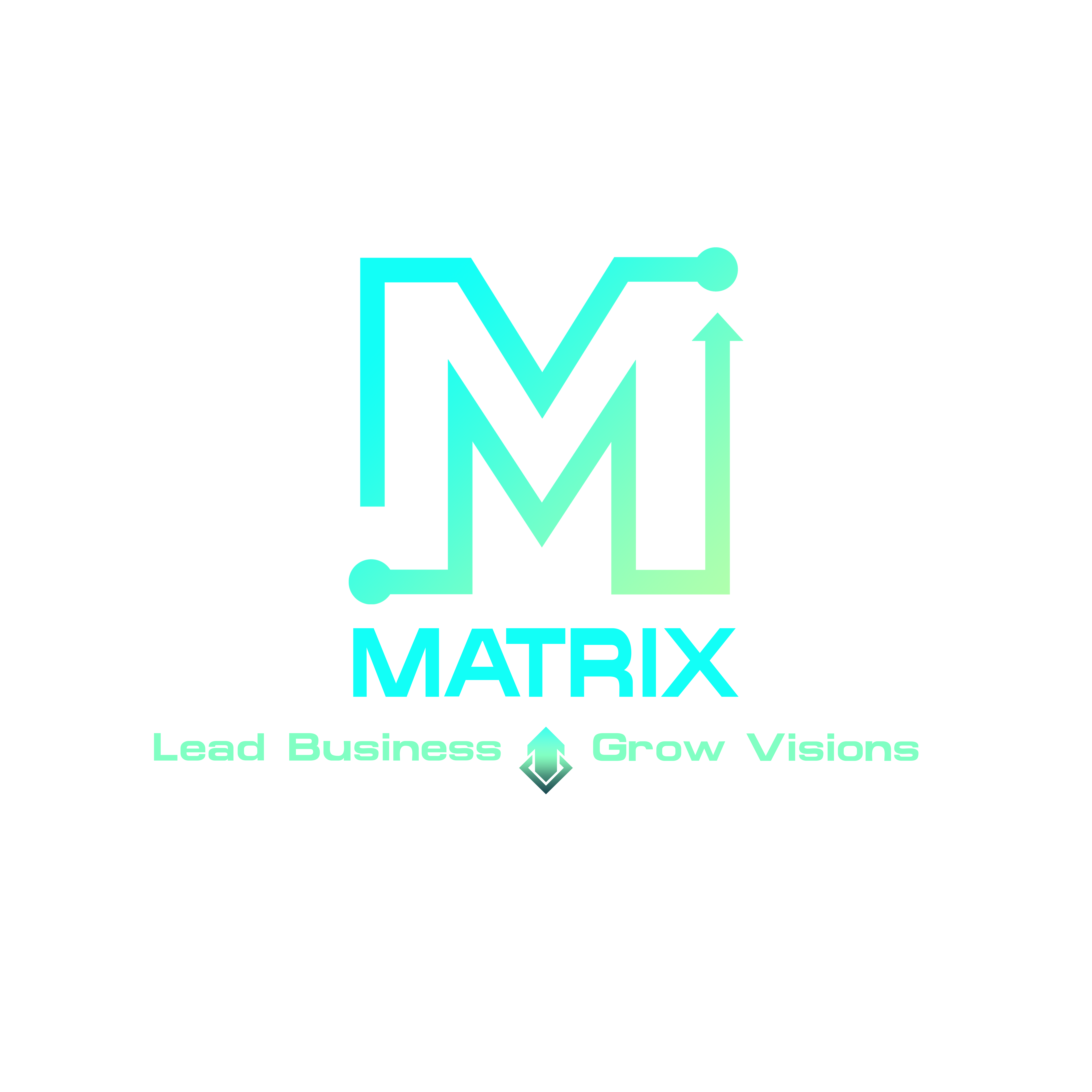 MATRIX-ERP L.L.C